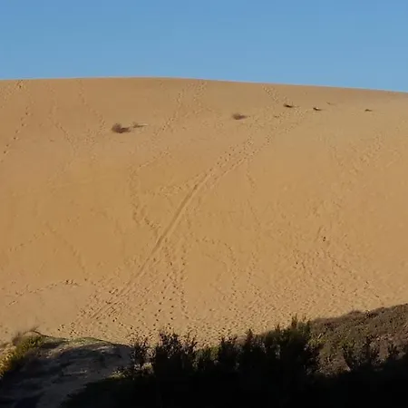 Dune *